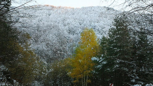Слънцето си отива идват студ и дъжд
