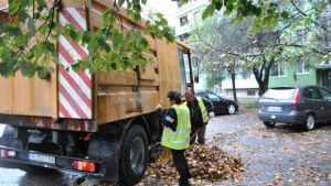 Почистват падналите листа в града