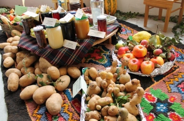 Показват гигантски картоф на празника в Клисура