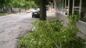  Шест сигнала от сутринта за паднали клони и ламарини 