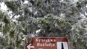 Снегът затвори прохода Шипка