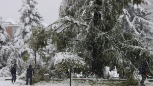 Екипи чистят нападали дървета и клони възстановяват тока по селата
