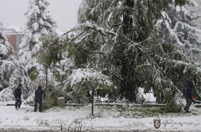 Екипи чистят нападали дървета и клони, възстановяват тока по селата