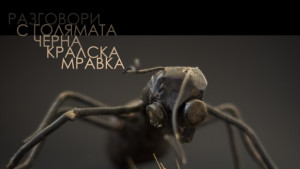 Изложба на Светослав Милев в галерия Май