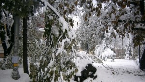 Обстановката в община Габрово остава тежка а снеговалежът продължава