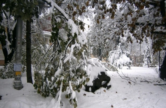 Обстановката в община Габрово остава тежка, а снеговалежът продължава