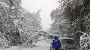 Във високата част на община Габрово снежната покривка надминава 100