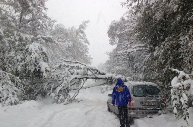 Във високата част на община Габрово снежната покривка надминава 100 см.