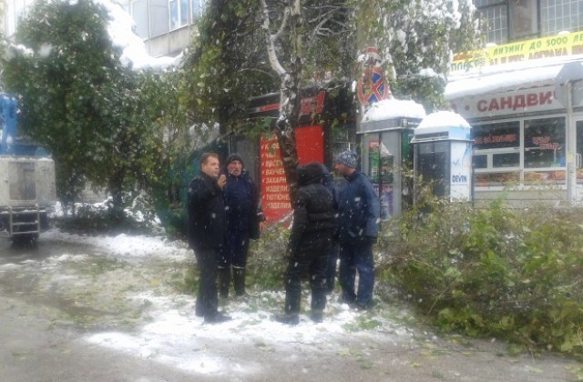Обстановката във В. Търново се нормализира, почистени са по-голяма част от опасните дървета