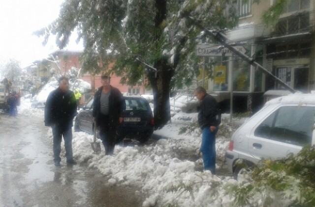 Продължава разчистването на счупени от снега дървета и клони