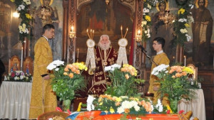 Видин отпразнува Димитровден