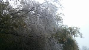 Забранява се движението по пътя за Новосел и на участъци