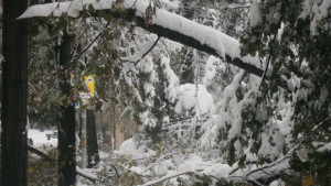 28 октомври е неучебен за училищата в Габрово