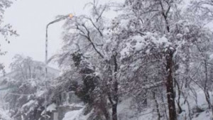 Над 100 населени места в областта са без ток няколко