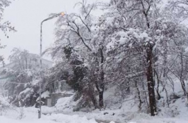 Над 100 населени места в областта са без ток няколко денонощия