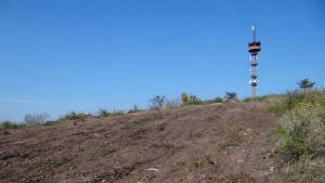 Общоградска кампания за залесяване на парк Боровец
