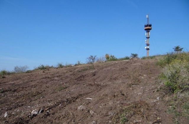 Общоградска кампания за залесяване на парк „Боровец”