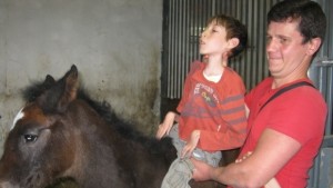 Швейцарци ще учат русенци на терапия с коне