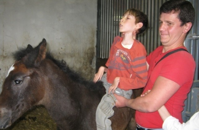 Швейцарци ще учат русенци на терапия с коне