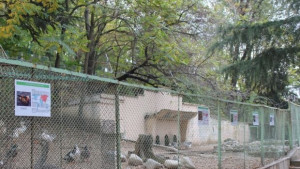Европейски табели в зоопарка