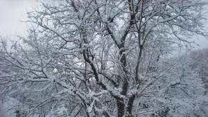 Облачно време с мъгли и превалявания