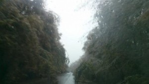 Отварят пътя за Новосел