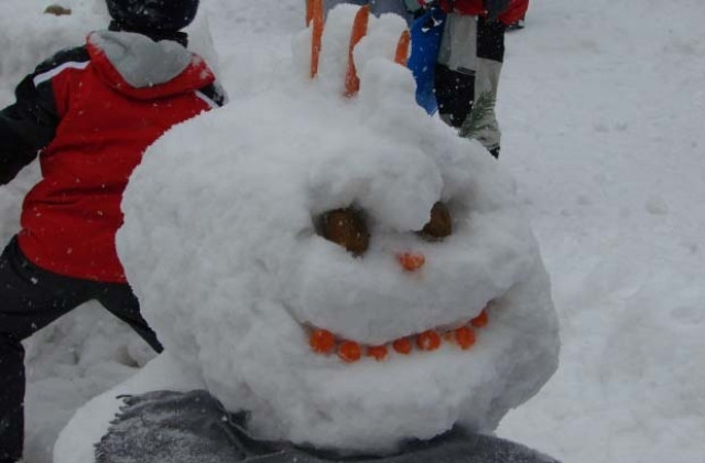 Отново ни чака топла зима, но с повече валежи