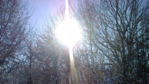 Една седмица с високи температури