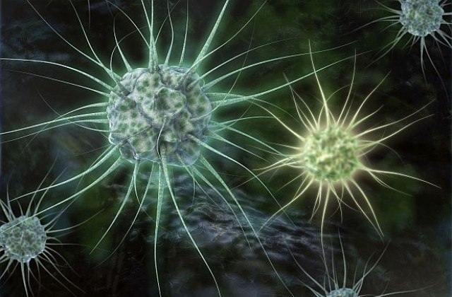 Мистериозният вирус ATCV-1 потиска някои функции на човешкия мозък