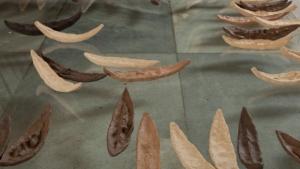 Фрагменти от две култури България и Израел