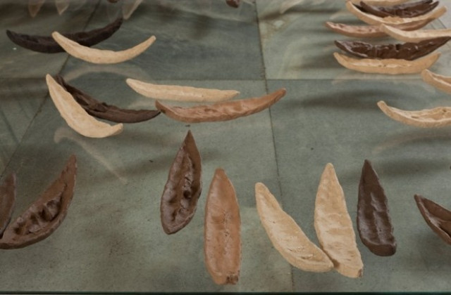 Фрагменти от две култури - България и Израел