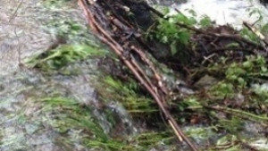 Пропадна участък от пътя Габрово Дебел дял