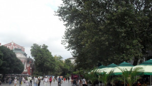 Чадъри и сенници в идеалния център само в сиво и