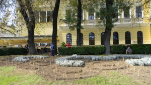 Над 20 000 стръка сезонни цветя засаждат в парковете на