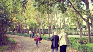 Забраняват цигарите и алкохола в пенсионерските клубове