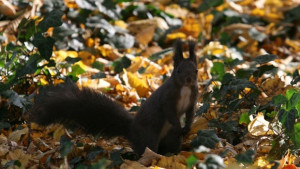 Слънчево очакват се температури до 18