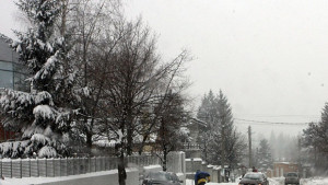 Единодушно приеха доклада за готовността на Община Велико Търново за