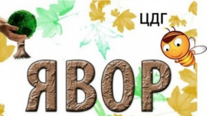 Детска градина Явор партньор в международния проект Аct together Вe