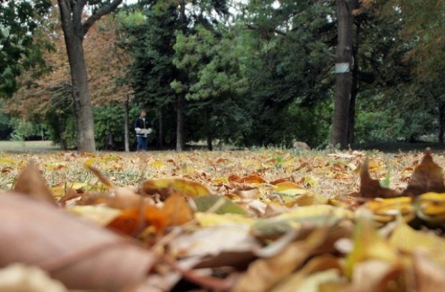 Облачно време