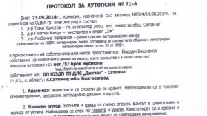 Чиновници спорят за загинали муфлони