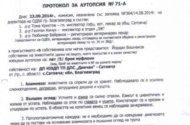 Чиновници спорят за загинали муфлони