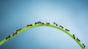 Необичайно хоби бавно си пробива път в България