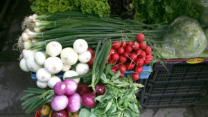 Цените на хранителните стоки на едро продължават да се качват