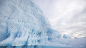 Роботизирани делфини събират данни за топенето на антарктическия лед