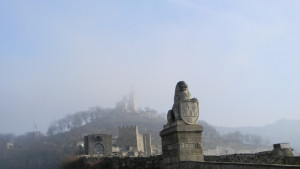 Царевец светва във виолетово в подкрепа на недоносените деца