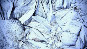 Ледени фигури леден бар и 13метрова елха за празниците в