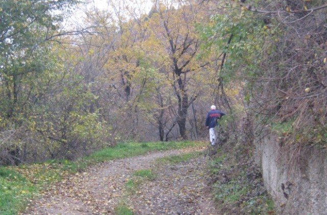 Улица в широкия център на Дупница без достъп на линейки, таксита и коли на сметопочистващата фирма
