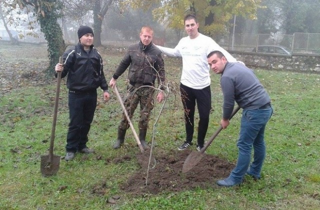 Младежи от ГЕРБ - Пордим засадиха дръвчета в Дневния център