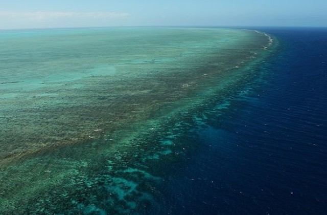 Ирина Бокова провери опазването на Големия бариерен риф в Австралия