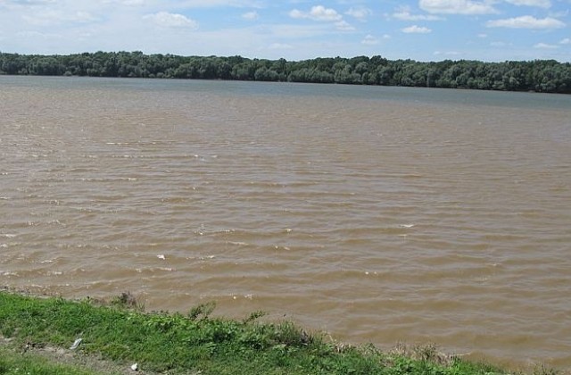 Еколози бият тревога за есетровите риби в Дунав